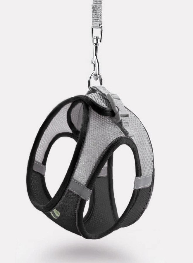 Nasula Adjustable Mesh Vest Dog Harness Pet Chest Strap for Running Walking Outdoor Harness for pet Dog & Cat (Small, Black) - Image 1
